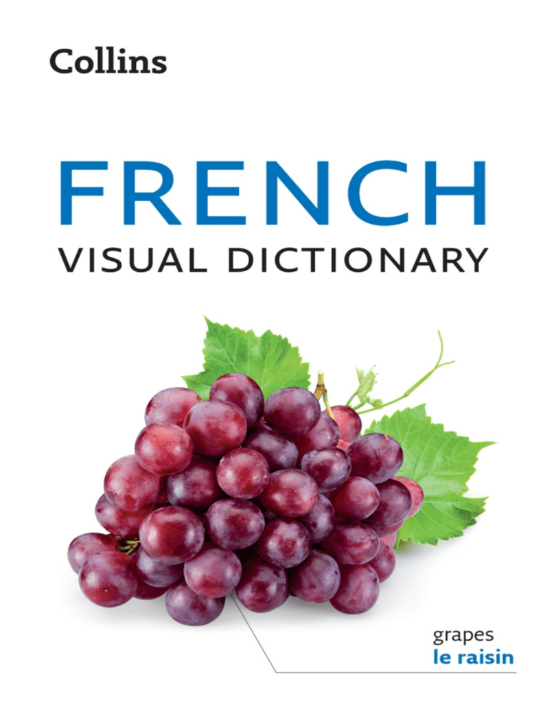 Rich Results on Google's SERP when searching for 'Collins French Visual Dictionary Book'