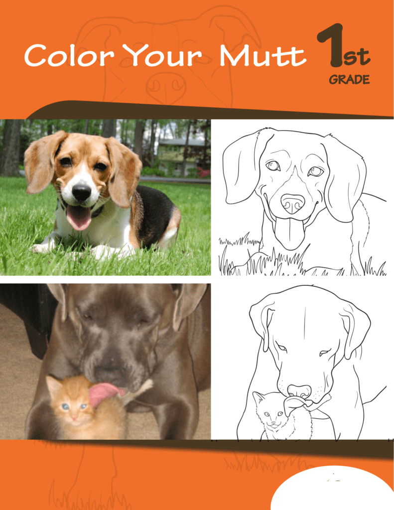 Rich Results on Google's SERP when searching for 'Color Your Mutt 1st Grade Workbook'