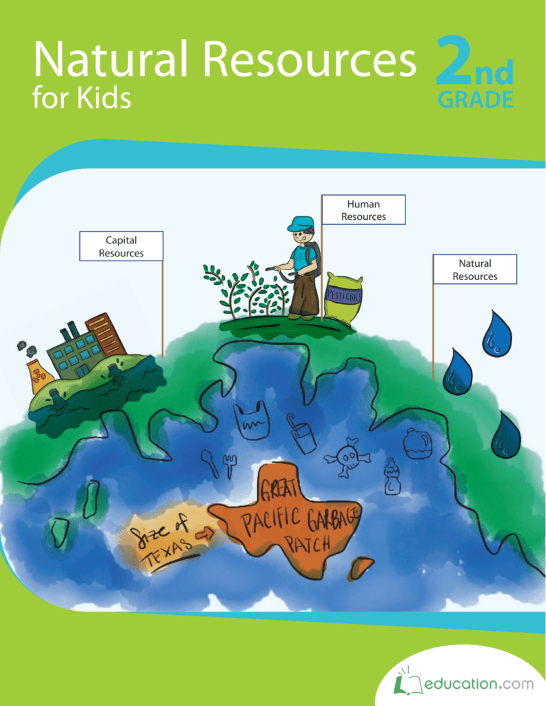 Rich Results on Google's SERP when searching for 'Natural Resources For Kids 2nd Grade Workbook'